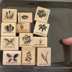 Stampin’ Up! “Two-Step Stampin Watercolor Minis”